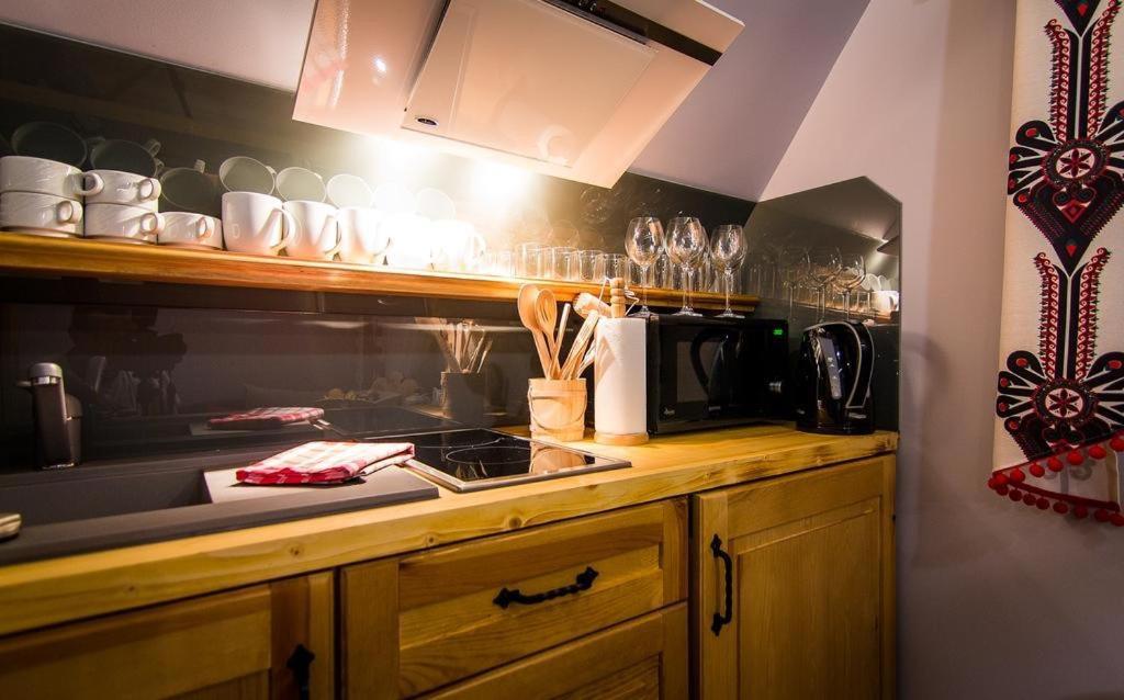 Apartamenty U Stopkow Biały Dunajec Dış mekan fotoğraf